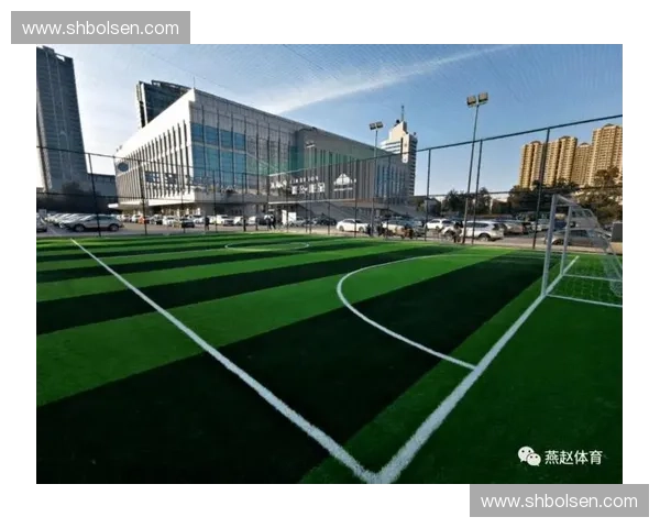 京津冀足球联赛激活区域协同发展与全民体育新动能时代图景蓝图